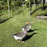 Holiday home Casa Nonna Nina Vercana