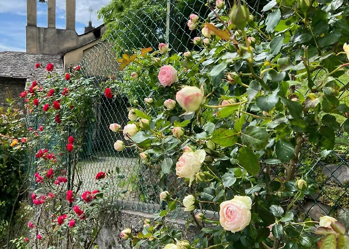 Hébergement de vacances Casa Nonna Nina *