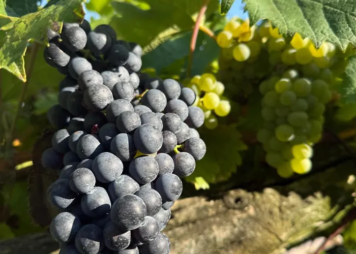 Casa Nonna Nina Vercana